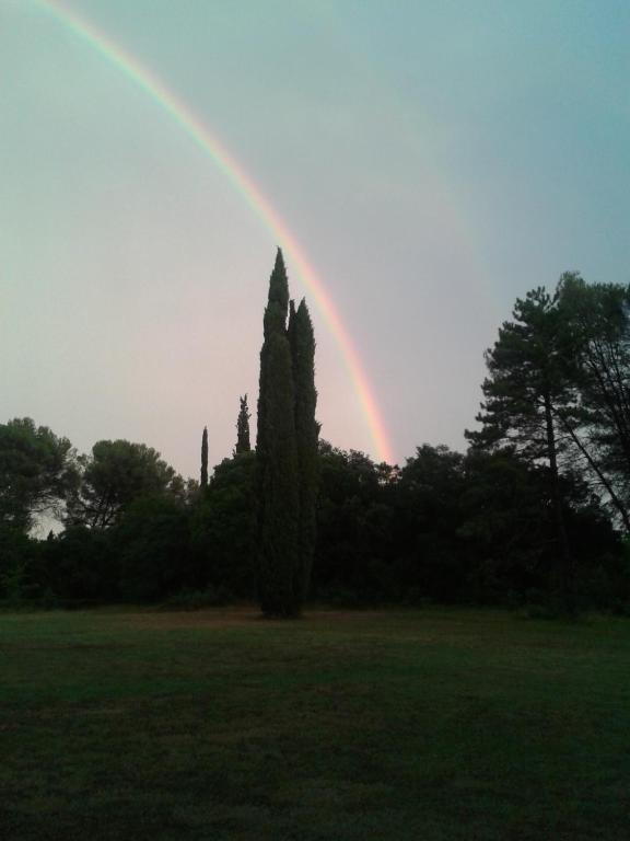 Prades-le-Lez Domaine De Saint Clement B&B 외부 사진